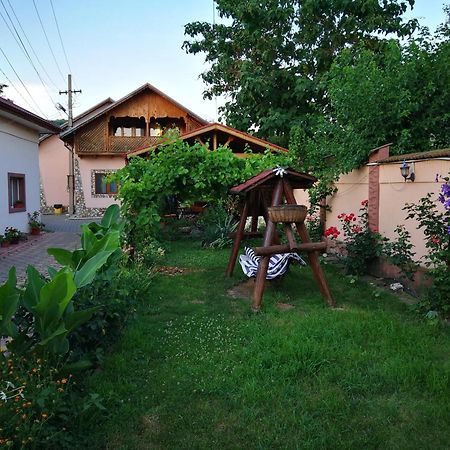 Vila Speranta Pleşcoi Exteriér fotografie