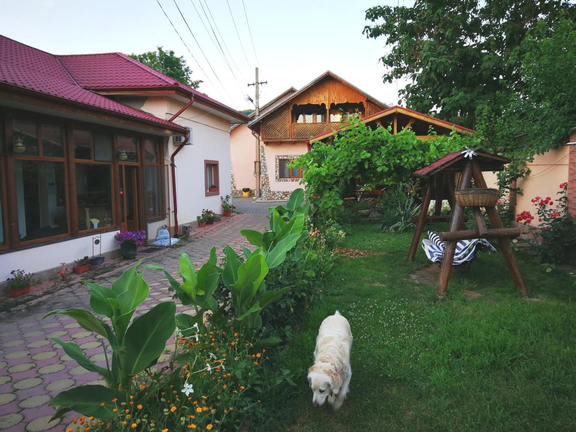 Vila Speranta Pleşcoi Exteriér fotografie