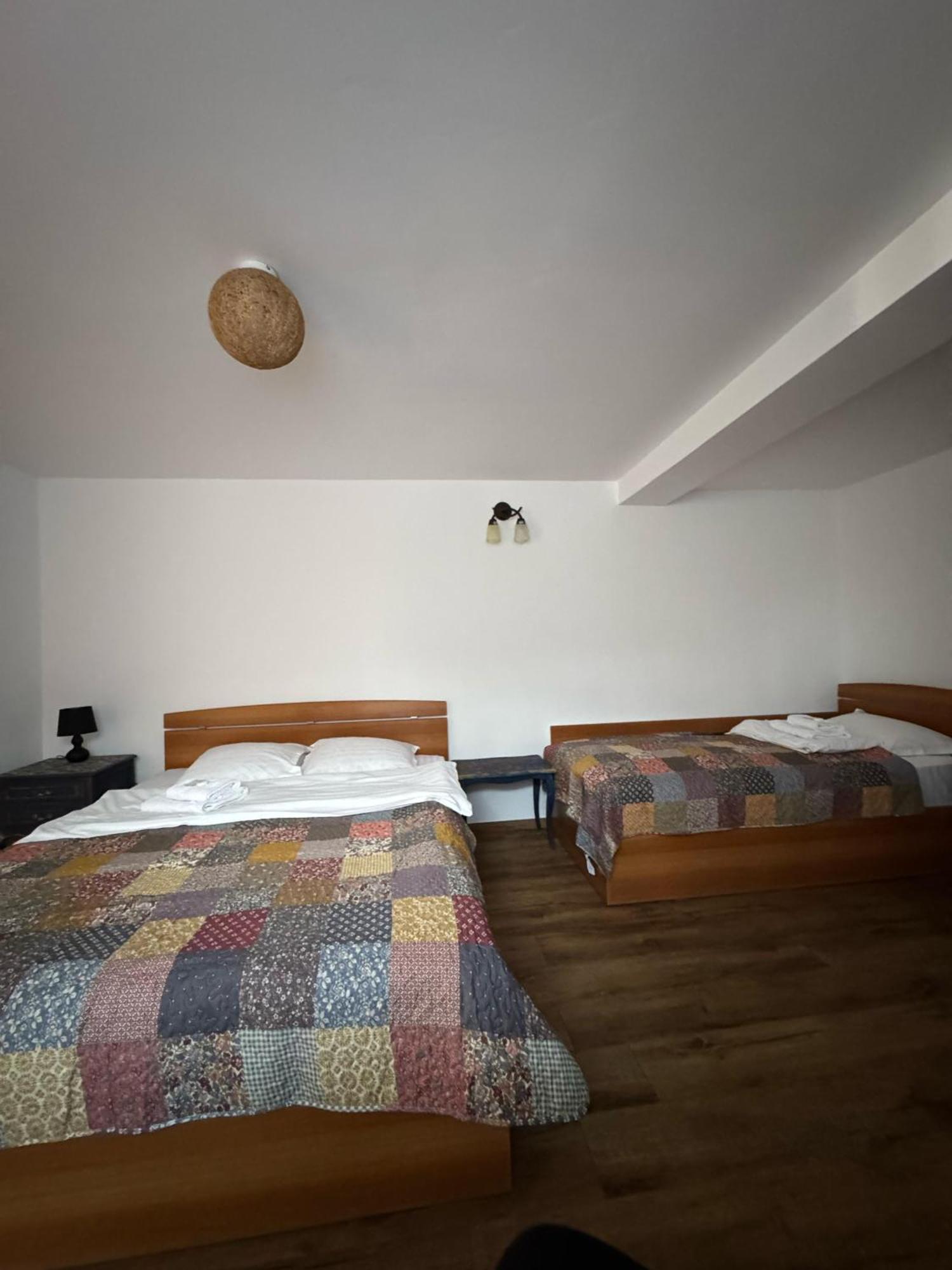 Vila Speranta Pleşcoi Exteriér fotografie