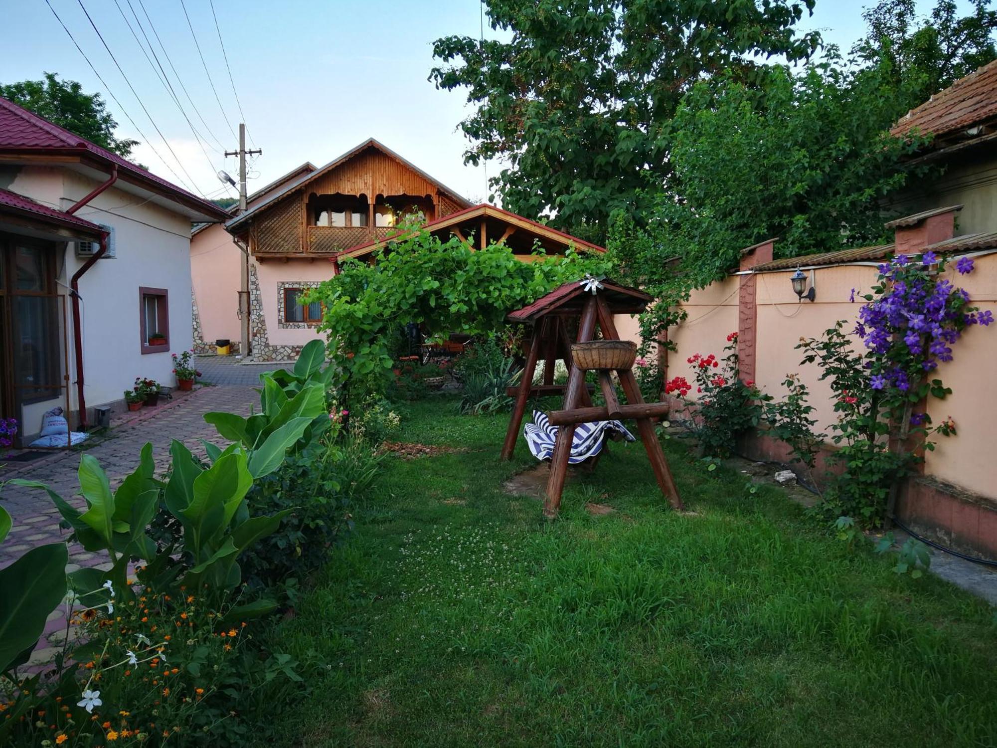 Vila Speranta Pleşcoi Exteriér fotografie