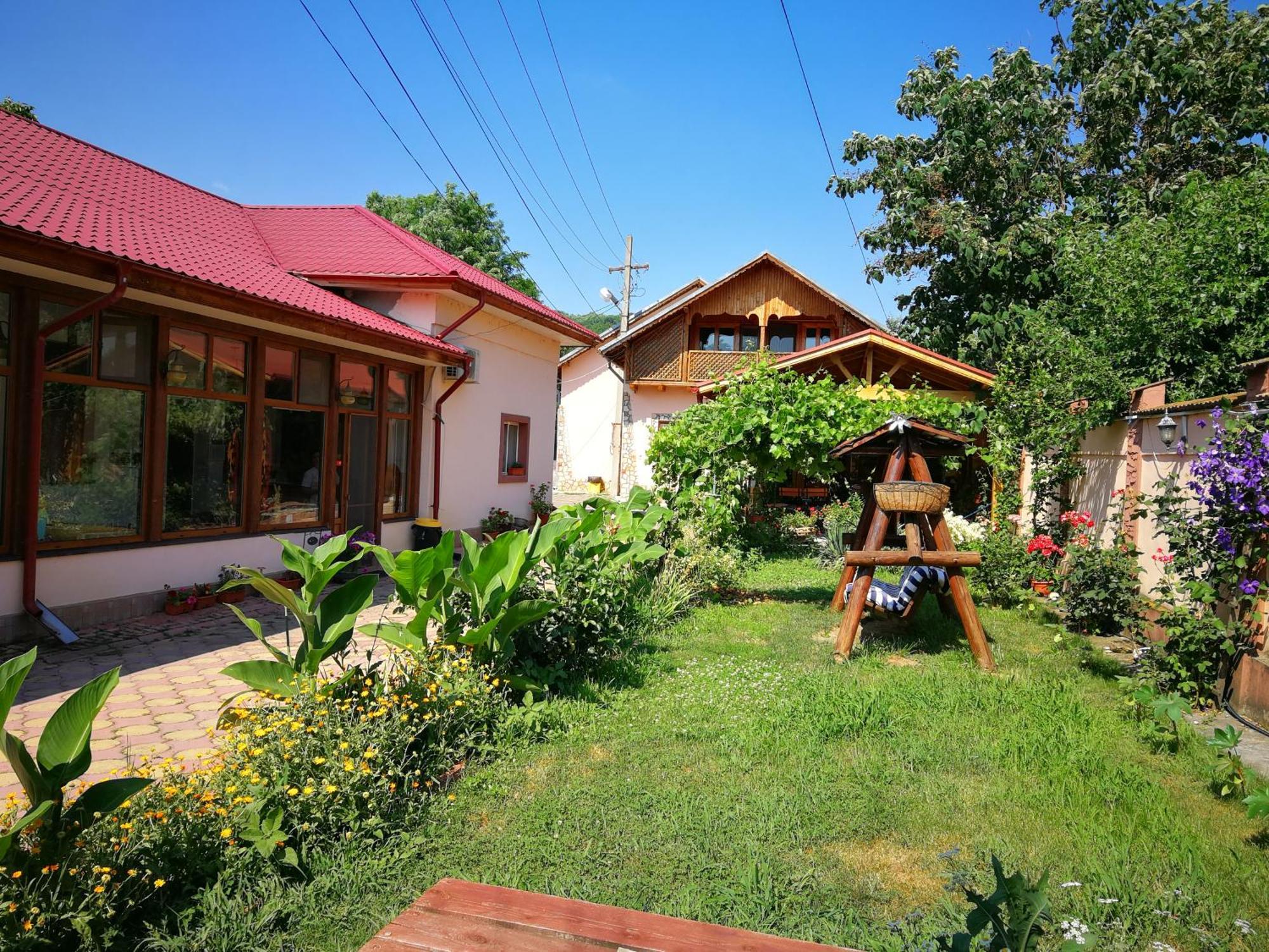Vila Speranta Pleşcoi Exteriér fotografie