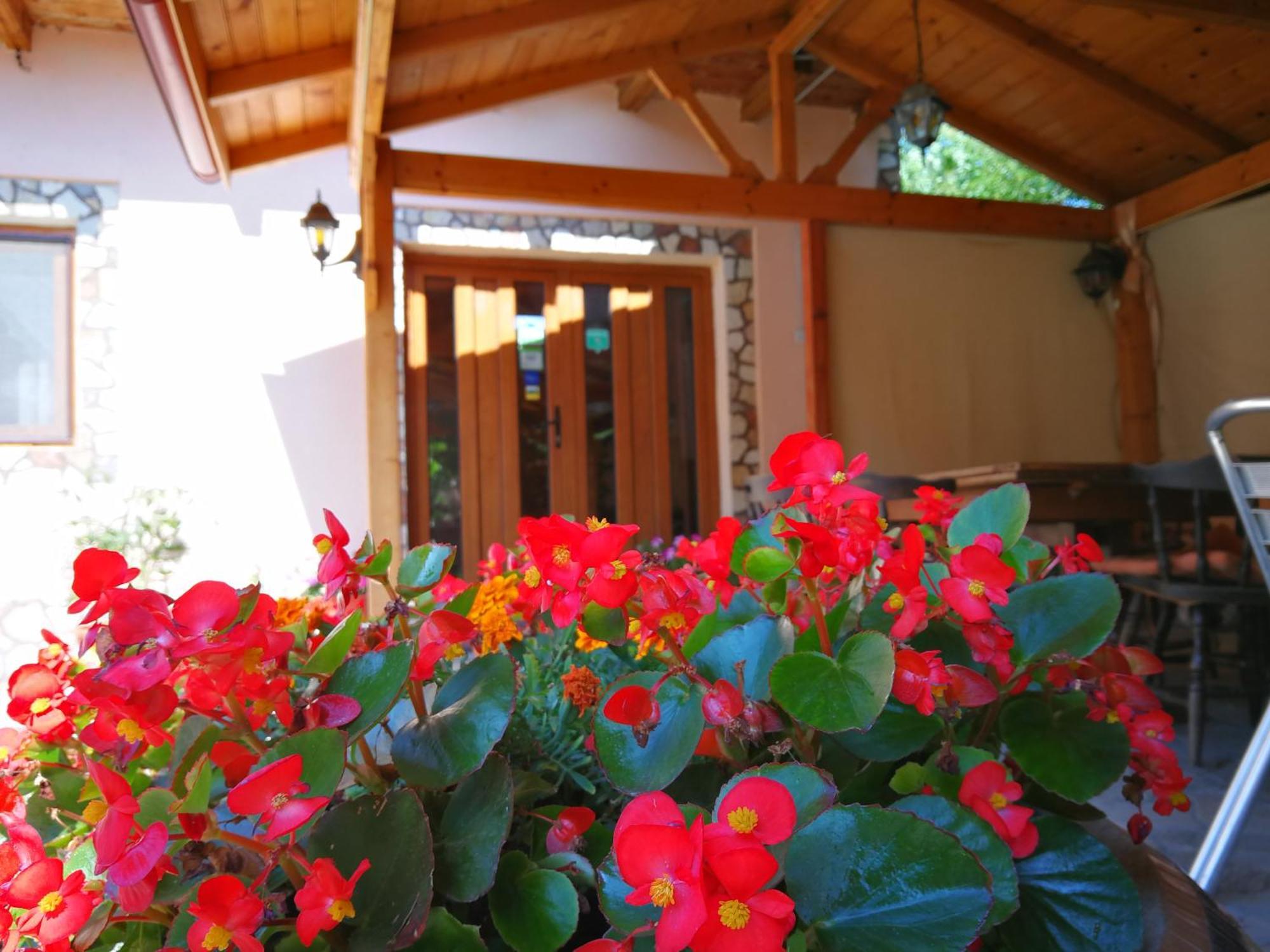 Vila Speranta Pleşcoi Exteriér fotografie
